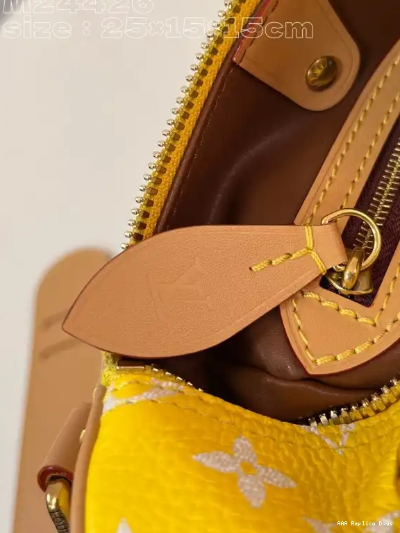 Aaa replica bags 25 Louis SPEEDY Vuitton 0529